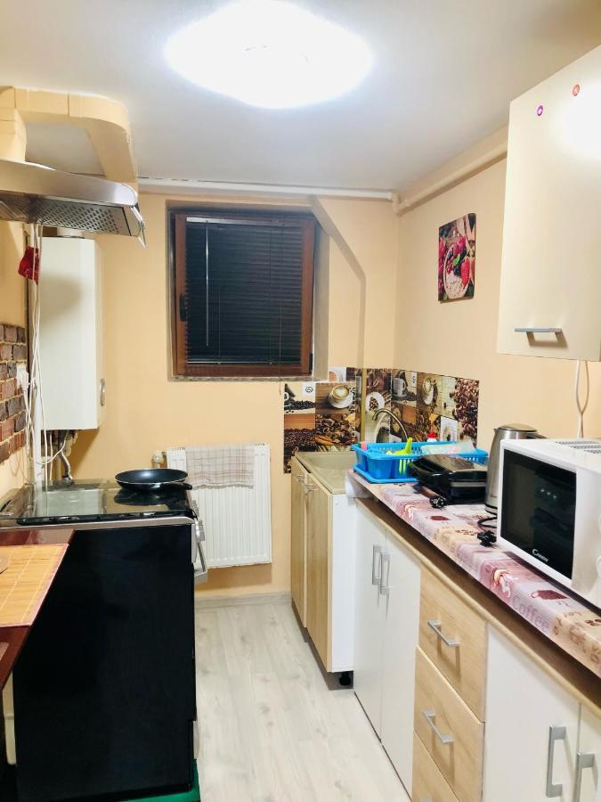 Central Park - Big Apartment - 3 Rooms - Free Parking T5 Timişoara Exterior foto
